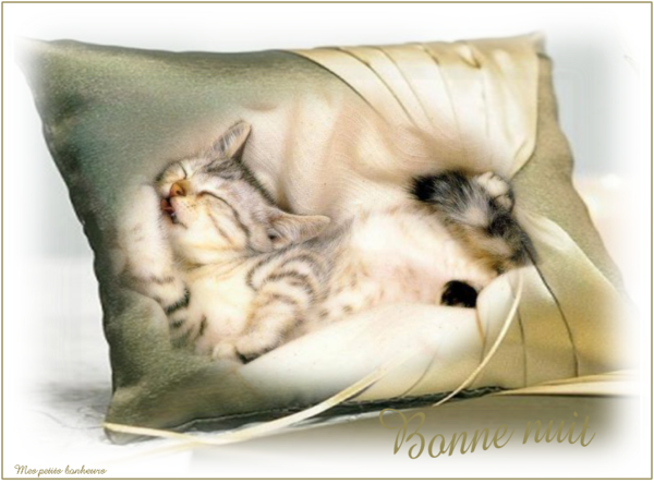 Mes créas bonne nuit