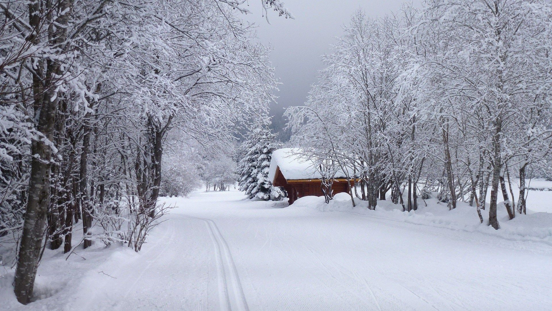 belles images de paysages hiver - Page 8